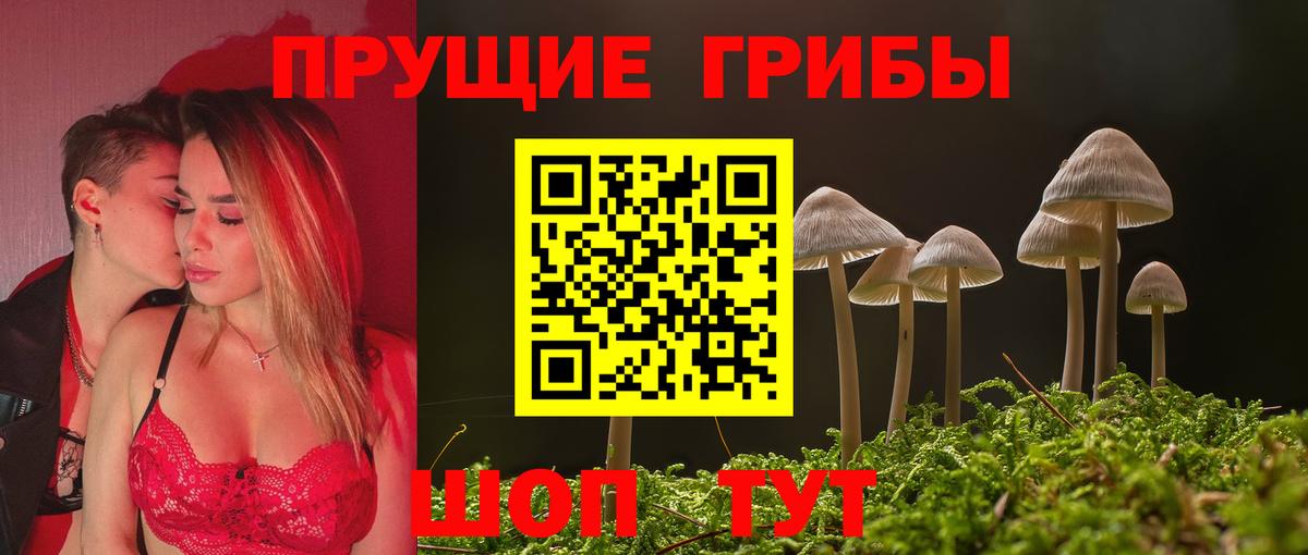 Псилоцибиновые грибы Magic Shrooms  Вход с VPN  Псилоцибиновые грибы Cubensis  наркотики  Выкса 
